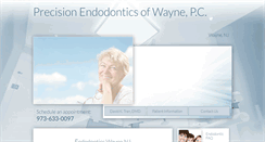 Desktop Screenshot of precisionendonj.com